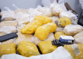 sindh blazes a trail in fight against drugs