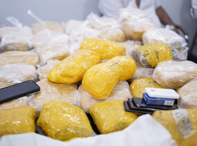 sindh blazes a trail in fight against drugs