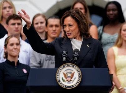 internet calls kamala harris brat and her campaign loves it