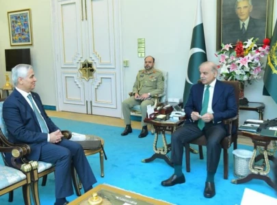 pm shehbaz sharif commits to eco reforms and intra regional trade pm shehbaz sharif commits to eco reforms and intra regional trade