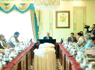 pm shehbaz stresses taking tough decisions to revive economy