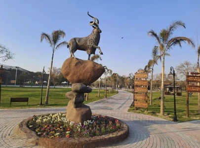 safari zoo e ticketing to be outsourced to private firm