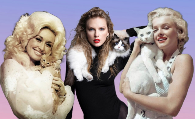 from insult to empowerment how women are reclaiming the childless cat lady label from insult to empowerment how women are reclaiming the childless cat lady label