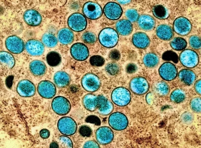 who partners to discuss mpox aiming to prevent covid era disparities in medical access