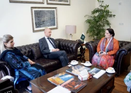 denmark to aid in green energy transition