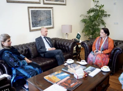 denmark to aid in green energy transition