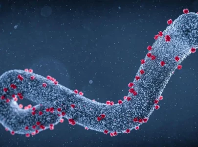 marburg virus explained a rising health threat in africa as outbreaks spread marburg virus explained a rising health threat in africa as outbreaks spread