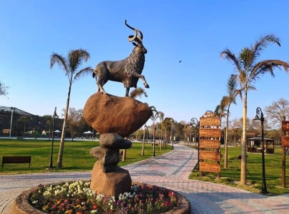 lahore safari park awarded to private firm under rs135m contract lahore safari park awarded to private firm under rs135m contract