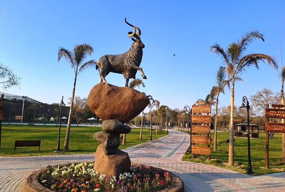 lahore safari park awarded to private firm under rs135m contract lahore safari park awarded to private firm under rs135m contract