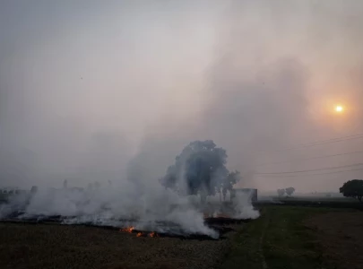 farmers in pakistan india detained for burning crop waste as air quality worsens farmers in pakistan india detained for burning crop waste as air quality worsens