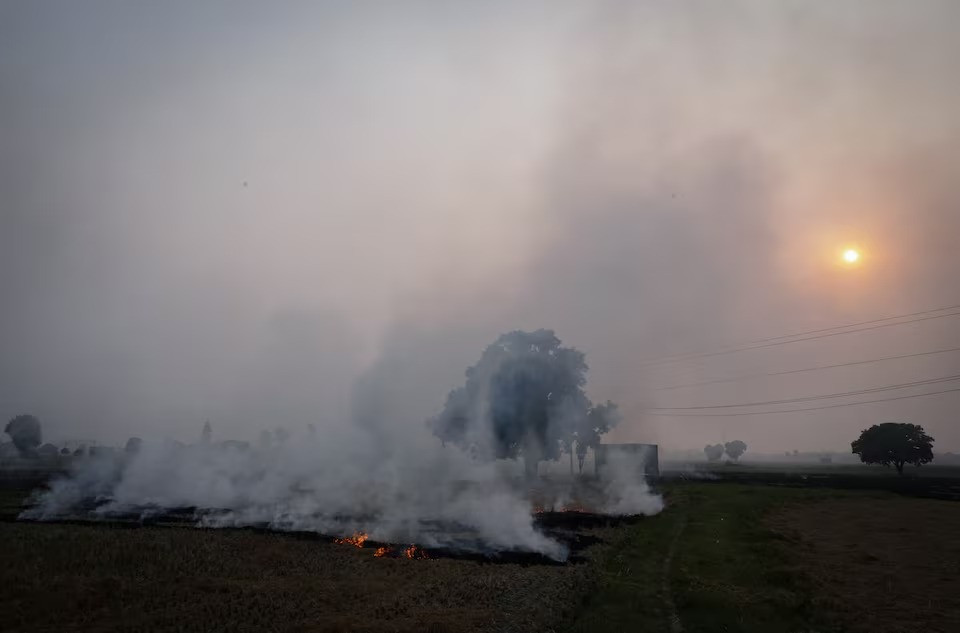 smoke rises from the burning stubble in a rice field at a village in karnal in the northern state of haryana india october 21 2024 photo reuters