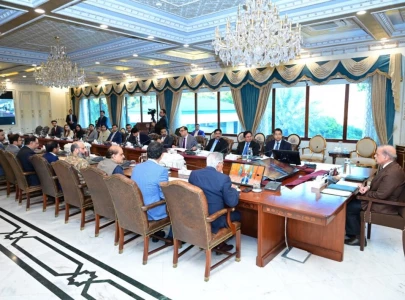 pm shehbaz calls overseas pakistanis valuable assets pm shehbaz calls overseas pakistanis valuable assets