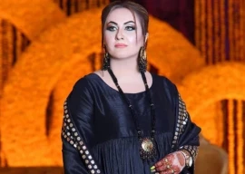 actress nargis s husband gets interim bail in domestic violence case