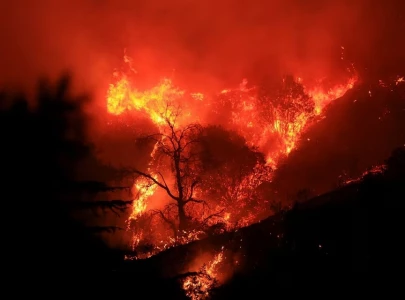 over 130 homes lost in california wildfire officials