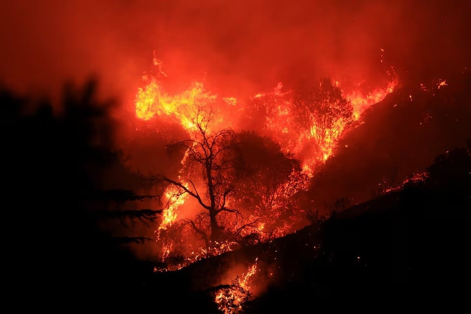 smoke and flames billow from the mountain fire in santa paula california november 6 2024 photo reuters