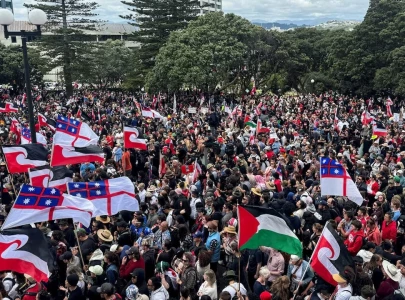 new zealand bill to reinterpret founding treaty sparks maori rights protests