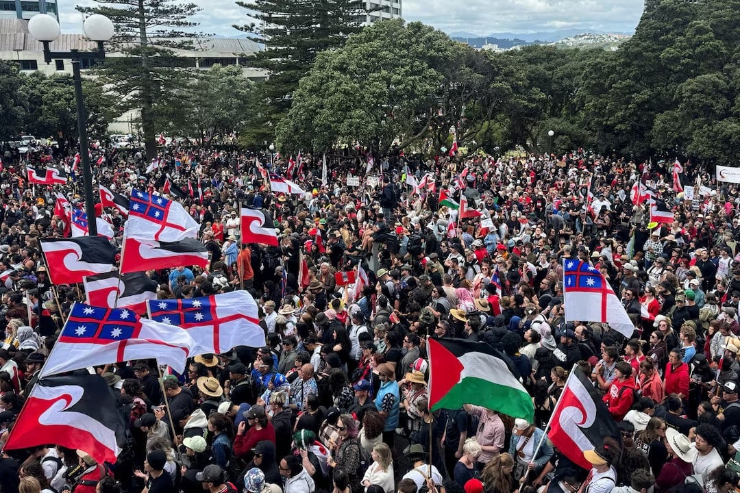 people march to the parliament in protest of the treaty principles bill in wellington new zealand november 19 2024 photo reuters