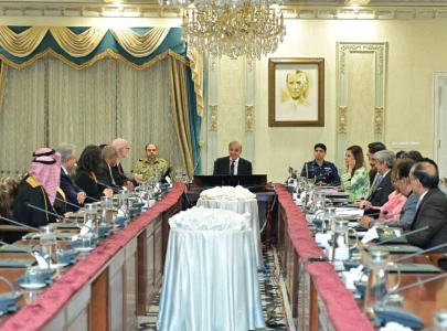 pm shehbaz reaffirms commitment to eradicate polio from pakistan