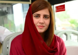 phc returns zartaj plea extends pti relief phc returns zartaj plea extends pti relief