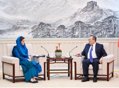 chinese firms offered preferential facilities chinese firms offered preferential facilities