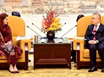 cm maryam invites chinese companies to invest in punjab sezs cm maryam invites chinese companies to invest in punjab sezs