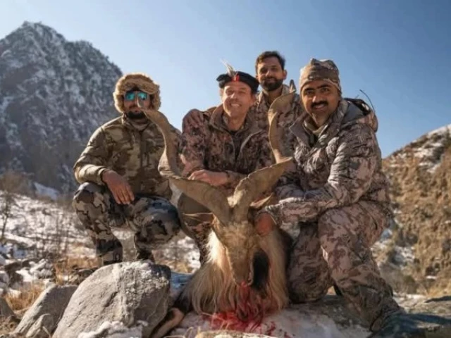 spanish hunter pays hefty amount of 219 000 for markhor hunt spanish hunter pays hefty amount of 219 000 for markhor hunt