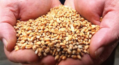 construction of wheat silos approved construction of wheat silos approved