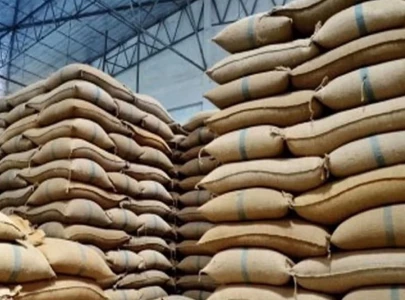 govt accused of irregularities in wheat purchase govt accused of irregularities in wheat purchase