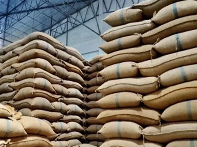 govt accused of irregularities in wheat purchase govt accused of irregularities in wheat purchase