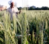 beyond the boom pakistan s food export conundrum