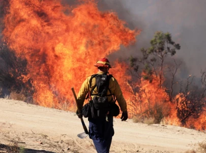 heat projected to kill nearly five times more people by 2050 heat projected to kill nearly five times more people by 2050