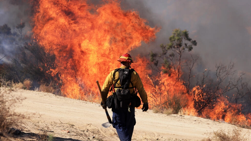 scientists have warned that the number of heat related deaths will sore in the coming decades if the world does not decrease its carbon emissions photo afp