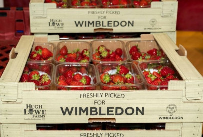 no wimbledon gives food for thought
