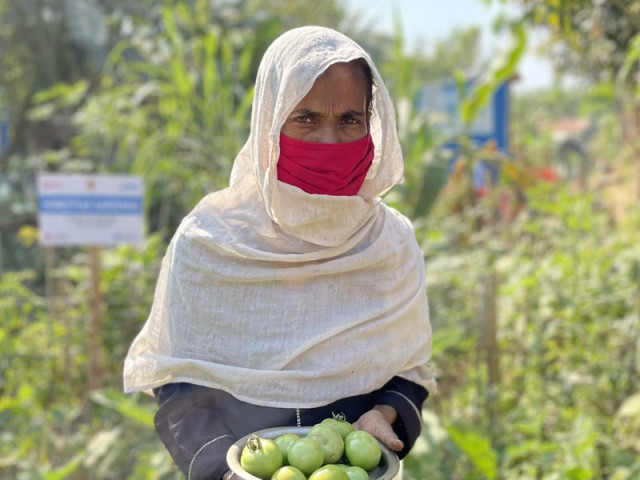 moot spotlights women s role in food security moot spotlights women s role in food security