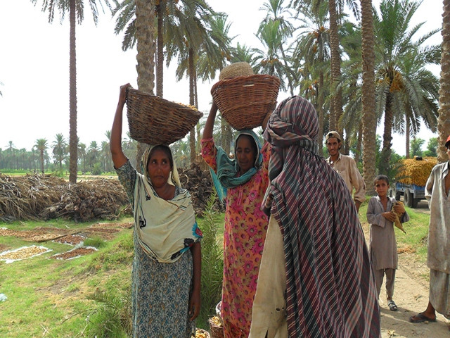 Gender-focused labour reforms demanded - Vimarsana News