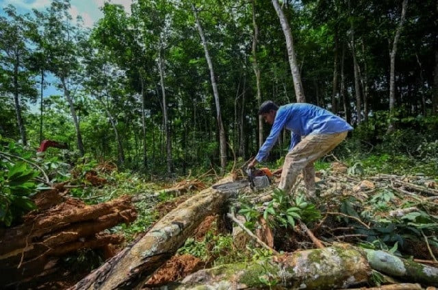 the switch began at the beginning of the year when more than 1 000 kitchens exploded across the country killing at least seven people and injuring hundreds more photo afp the switch began at the beginning of the year when more than 1 000 kitchens exploded across the country killing at least seven people and injuring hundreds more photo afp