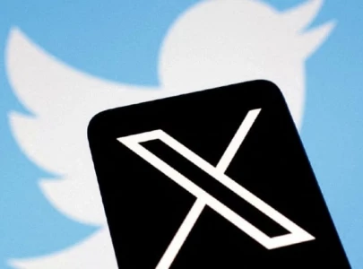 shc orders govt to restore x in one week