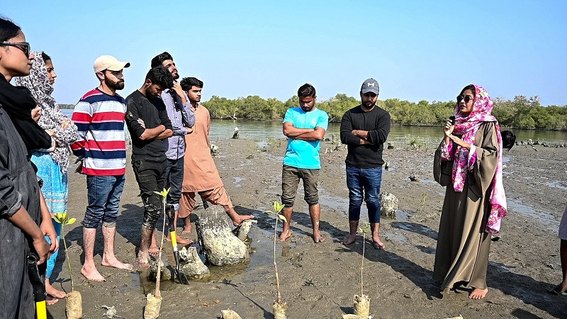 muqaddas tahir and youths from ibrahim haidery and rehri goth plant mangroves photo x pffyouth