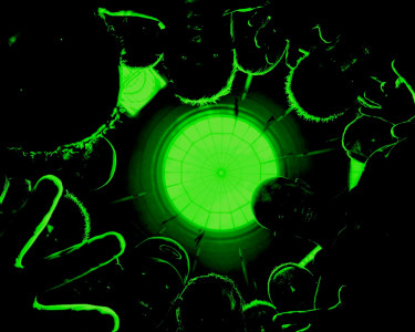 welcome to zombieland 170m walking dead welcome to zombieland 170m walking dead