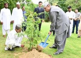 zardari launches plantation drive