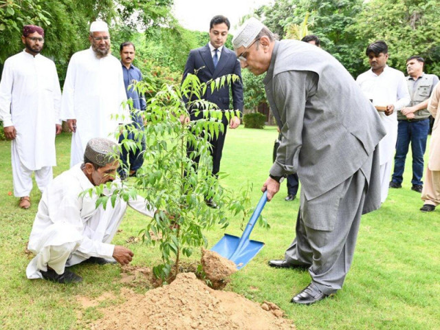 president asif ali zardari plants a neem sapling at bilawal house in karachi photo express president asif ali zardari plants a neem sapling at bilawal house in karachi photo express