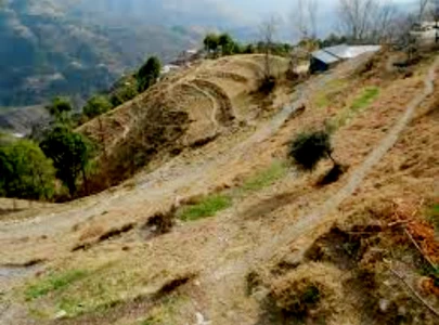 auqaf dept seeks to take charge of 5 shrines