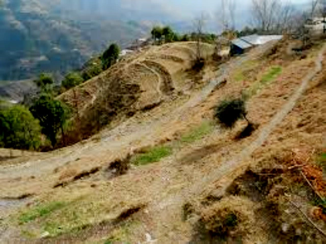 auqaf dept seeks to take charge of 5 shrines