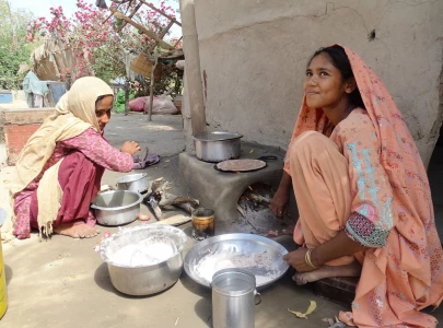 over 40 sindh households rely on fuel wood for cooking