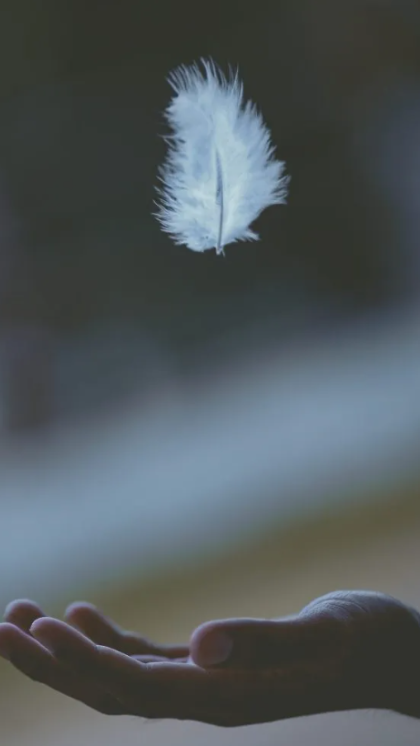 Updated Oct 09, 2024