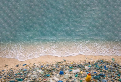 coastal beauty destroyed by garbage