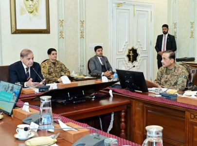 no further leeway for undocumented afghan refugees pm shehbaz no further leeway for undocumented afghan refugees pm shehbaz