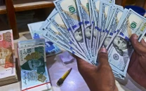 roshan digital account inflows rise by 205m to 113b