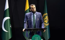 tarar demands apologies from world media over reports linking pakistan to australia beach shooting