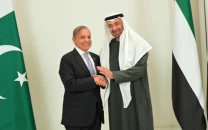 uae president to undertake his first official visit to pakistan on december 26